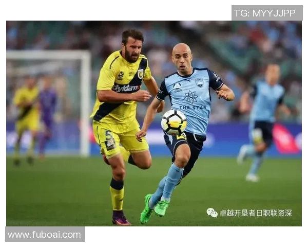 鲁尔区德甲球队分布及德比对决历史 鲁尔区德甲球队分布及德比对决历史