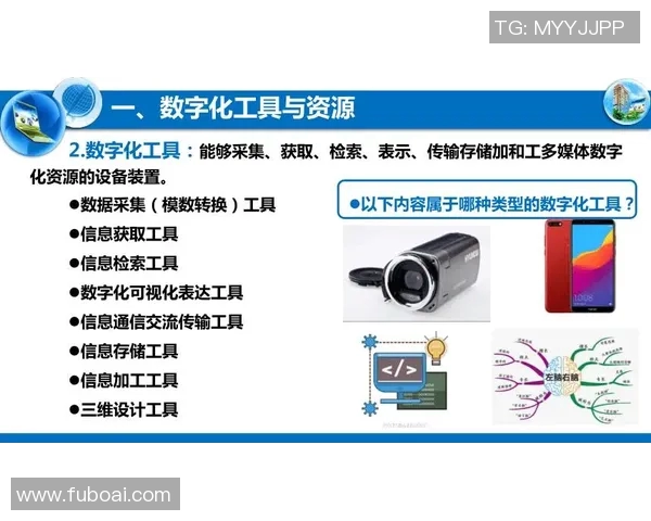 税务改革与创新：推动数字化转型与国际税收合作新局面