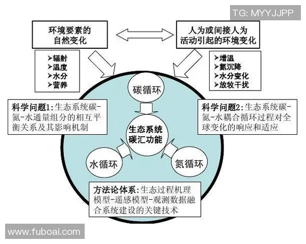 基于奖励机制的创新设计与实施策略探讨及其对企业发展的促进作用